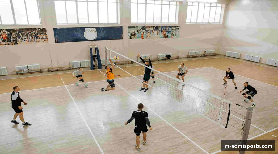 品读so米体育登录入口